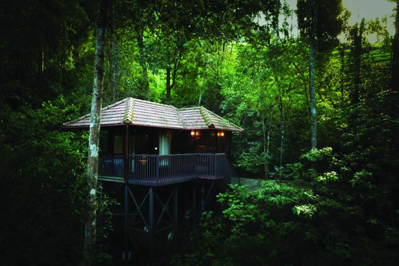 Wild Planet Jungle Resort Devala Exterior photo